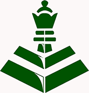 Tech Outsourcing for SME internacionalization 